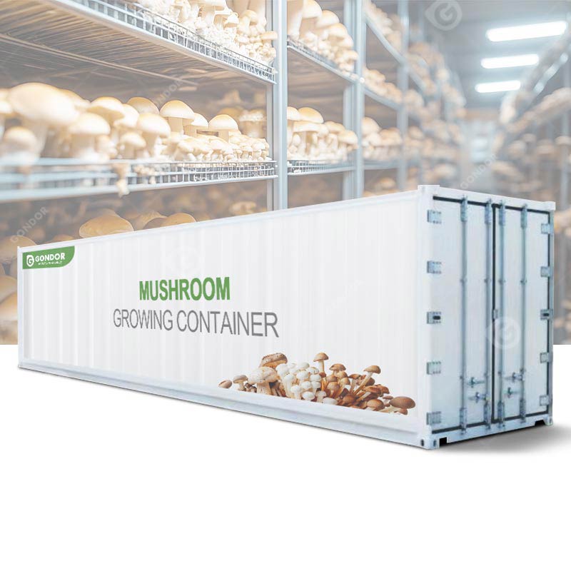 蘑菇种植设备