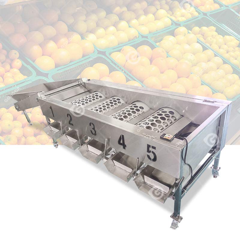 滚筒式水果分拣机